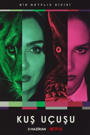 Полёт птицы 1-3 сезон